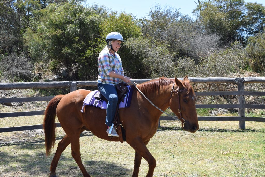 Totally Wild's Stacey riding in a Kent saddle, on Kent Saddlery's 